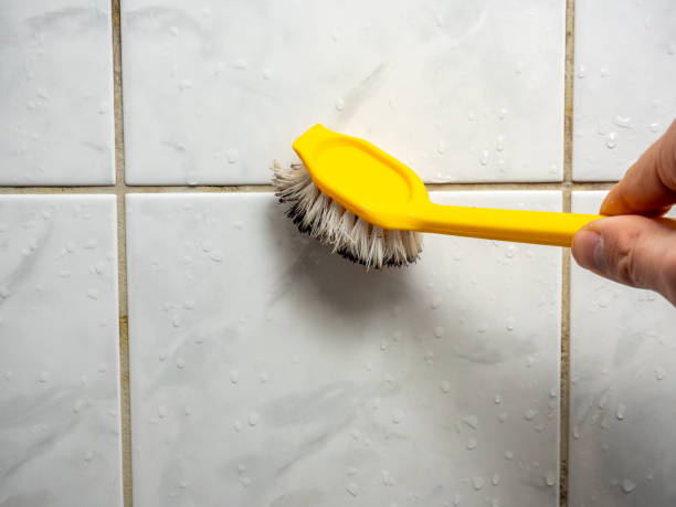 Best Commercial Mold Removal  in Locust Grove, OK