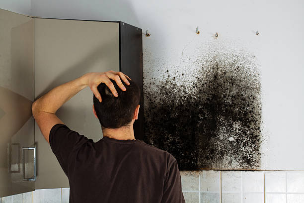Best Mold Removal Process  in Locust Grove, OK